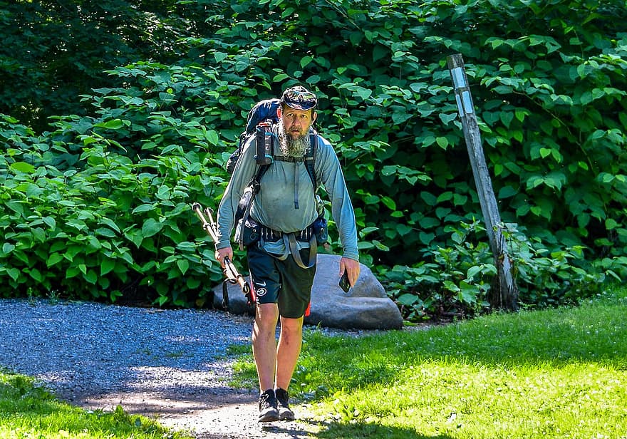 escursionista, pista, avventura, sentiero appalachiano, sentiero, uomo, il trekking, escursioni a piedi, backpacking, viaggio