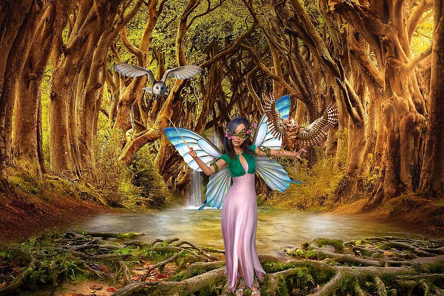 ファンタジー、妖精、森の中、神秘的な、ふくろう、鳥、女性、森林、女性たち、フェザー、木