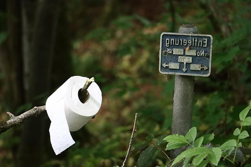 Forest, Toilet Paper, Camping, Woods, Hygiene, Toilet Paper Roll, Outdoors, sign, close-up, green color, tree