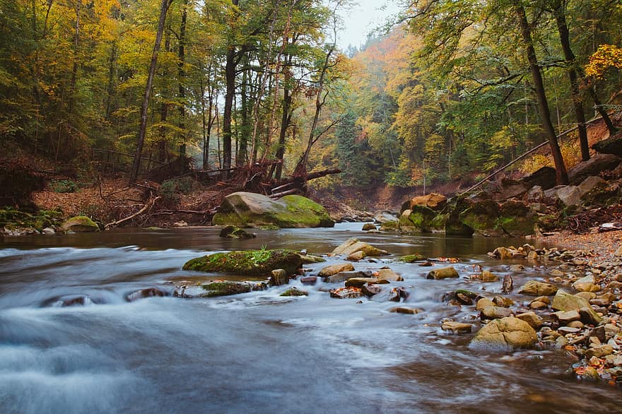 река, лес, падать, осень, природа, деревья, длительное воздействие, поток, воды, горные породы, мох