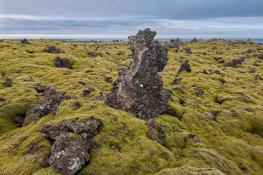 Islandija, lavos akmenys, turizmą, kelionė, lavos laukas, samanos