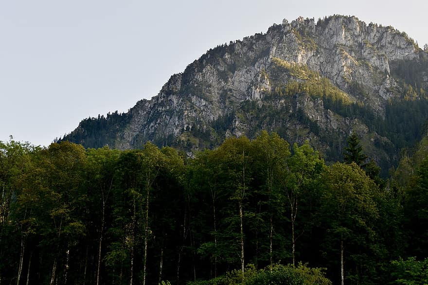 montanha, arvores, floresta, panorama, pico, cimeira, madeiras, cenário, cênico, natureza, Europa