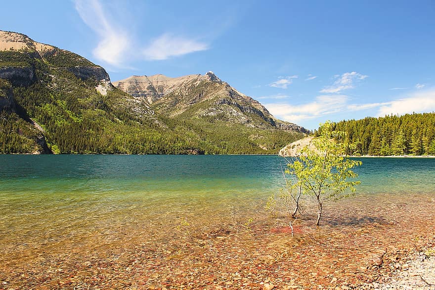 lago, montaña, bosque, parque Nacional, alberta, Canadá, lago de montaña, escénico, naturaleza, paisaje