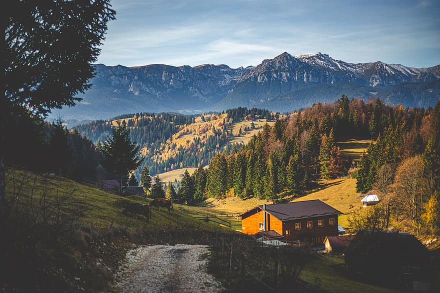 Mountain Huts, Houses, Mountains, Path, Trail, Trees, Forest, Conifers, Coniferous, Conifer Forest, Hills