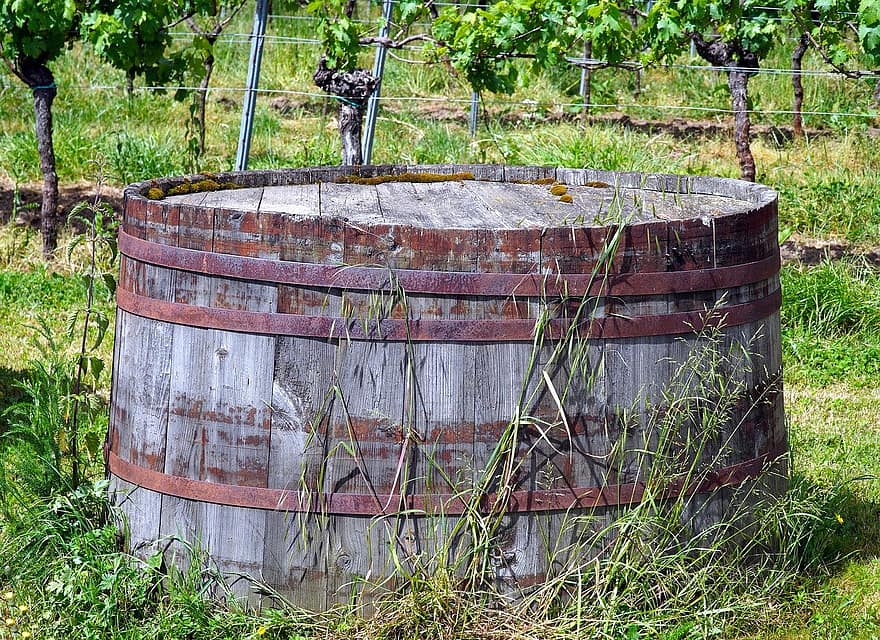 Barrel, Wine Barrel, Old, Wood, Vineyard, agriculture, rural scene, farm, winemaking, winery, wine