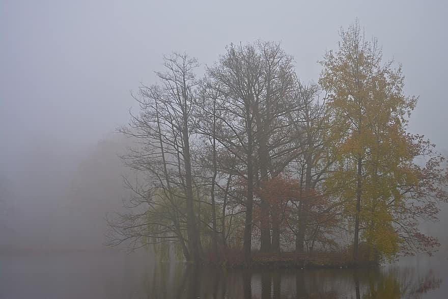 jezioro, jesień, mgła, spadek, park, wyspa, wschód słońca, drzewo, las, pora roku, krajobraz