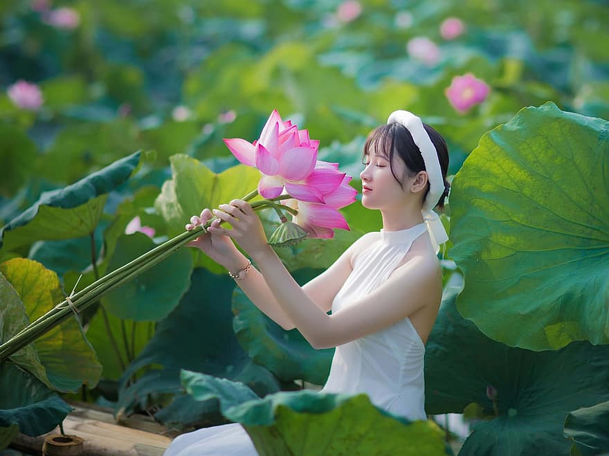 Woman, Portrait, Ao Dai, Model, Lotus Flowers, Lotus Leaves, White Dress, Traditional Dress, Asian, Asian Woman, Young Woman