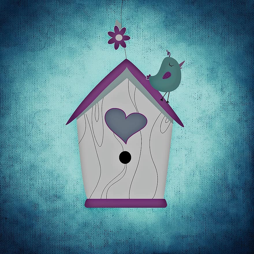 Aviary, Bird, Funny, Colorful, Nesting Box
