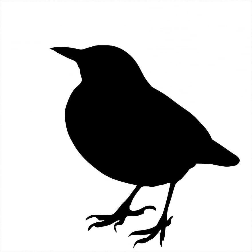 Bird, Blackbird, Animal, Black, Silhouette, Art, White, Isolated, Background, Shape