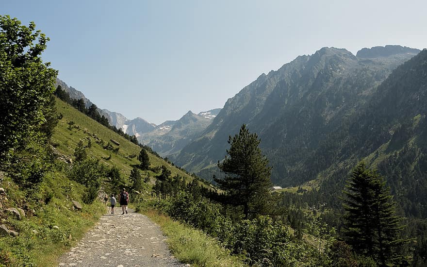 Pyreneje, hory, krajina, stezka, trekking, turistika, les, stromy, Příroda, cesta, pohoří