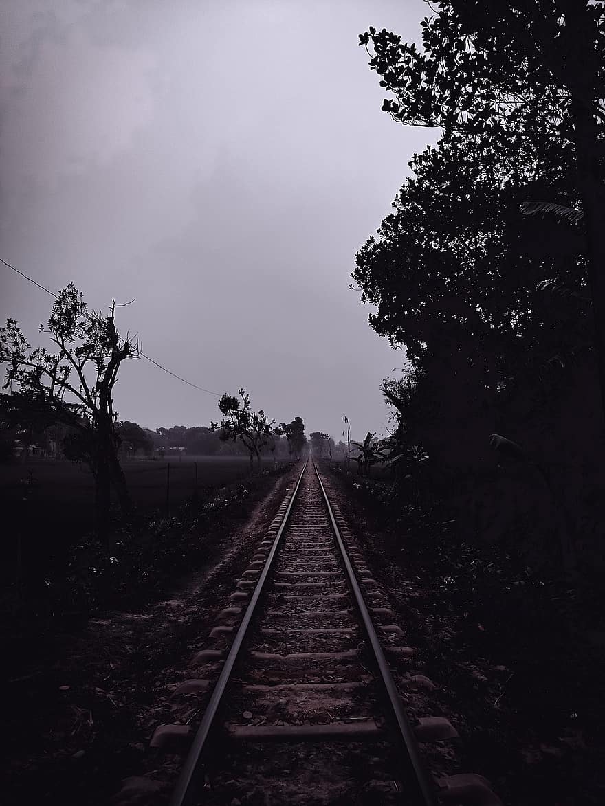 vonat, vasúti, vasút, sötét, Bangladesben, fa, vasúti pálya, szállítás, távlatpont, tájkép, erdő