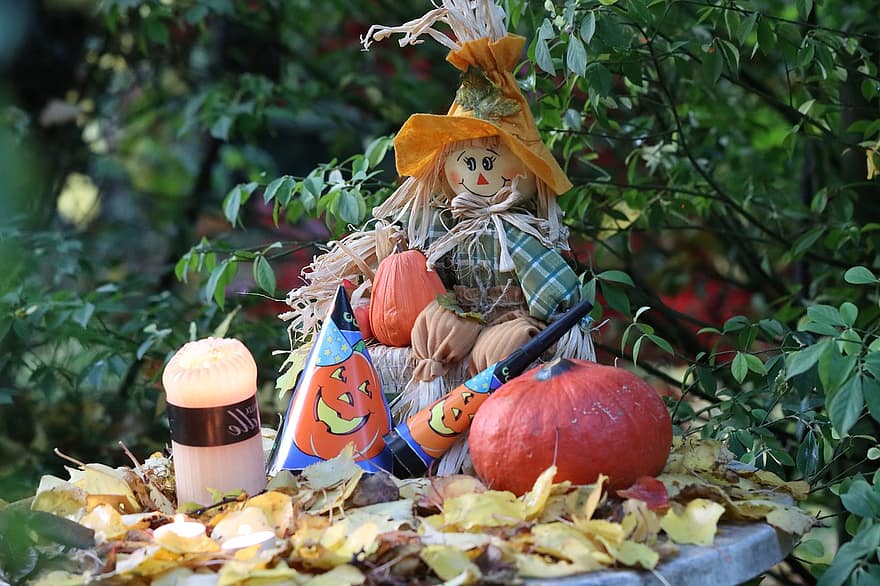 dia das Bruxas, decoração do dia das bruxas, decoração de jardim, decoração de outono