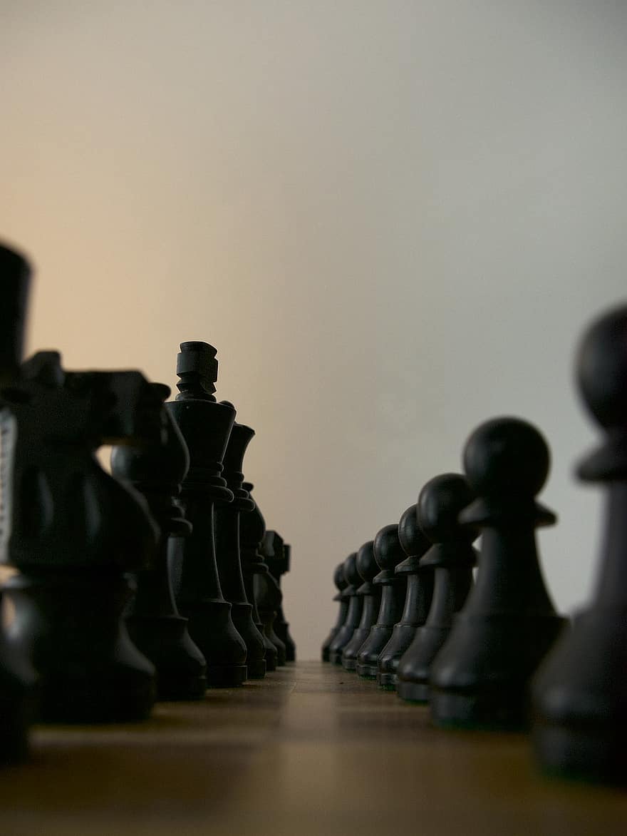 sakk, Gazda, torony, ló, ugró, futó, hölgy, király, stratégia, sakkfigurák, stratégiai játék