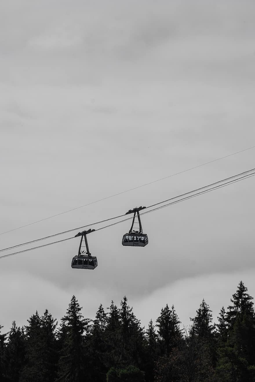 Cable Car, Fog, Mountains, Summit, Trees, Forest, Fun, Leisure, Activity, Alps, Nature