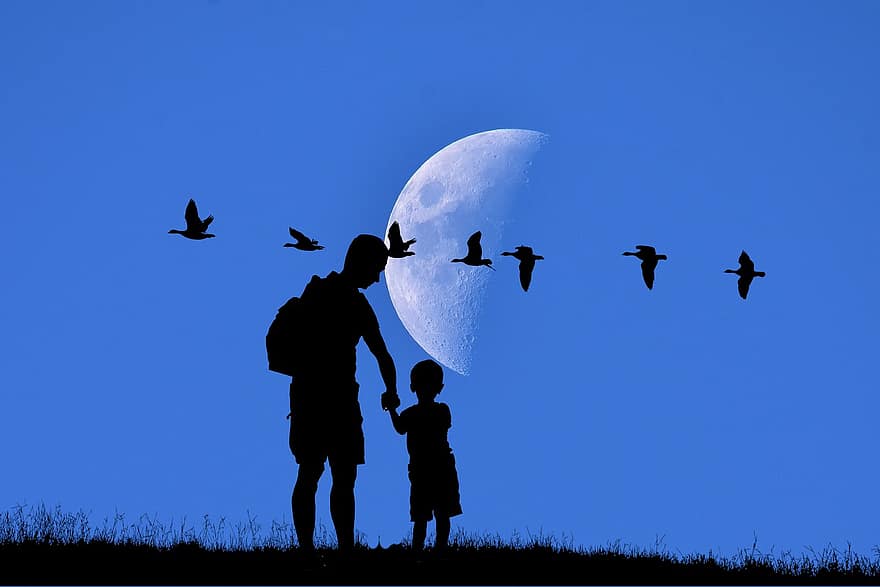 kind, vader, silhouet, maan, ganzen, vogelstand, vlucht, nacht