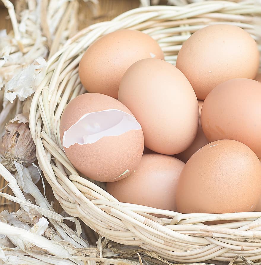 Eggs, Chicken Eggs, Fresh Eggs, food, animal egg, freshness, close-up, organic, farm, basket, healthy eating