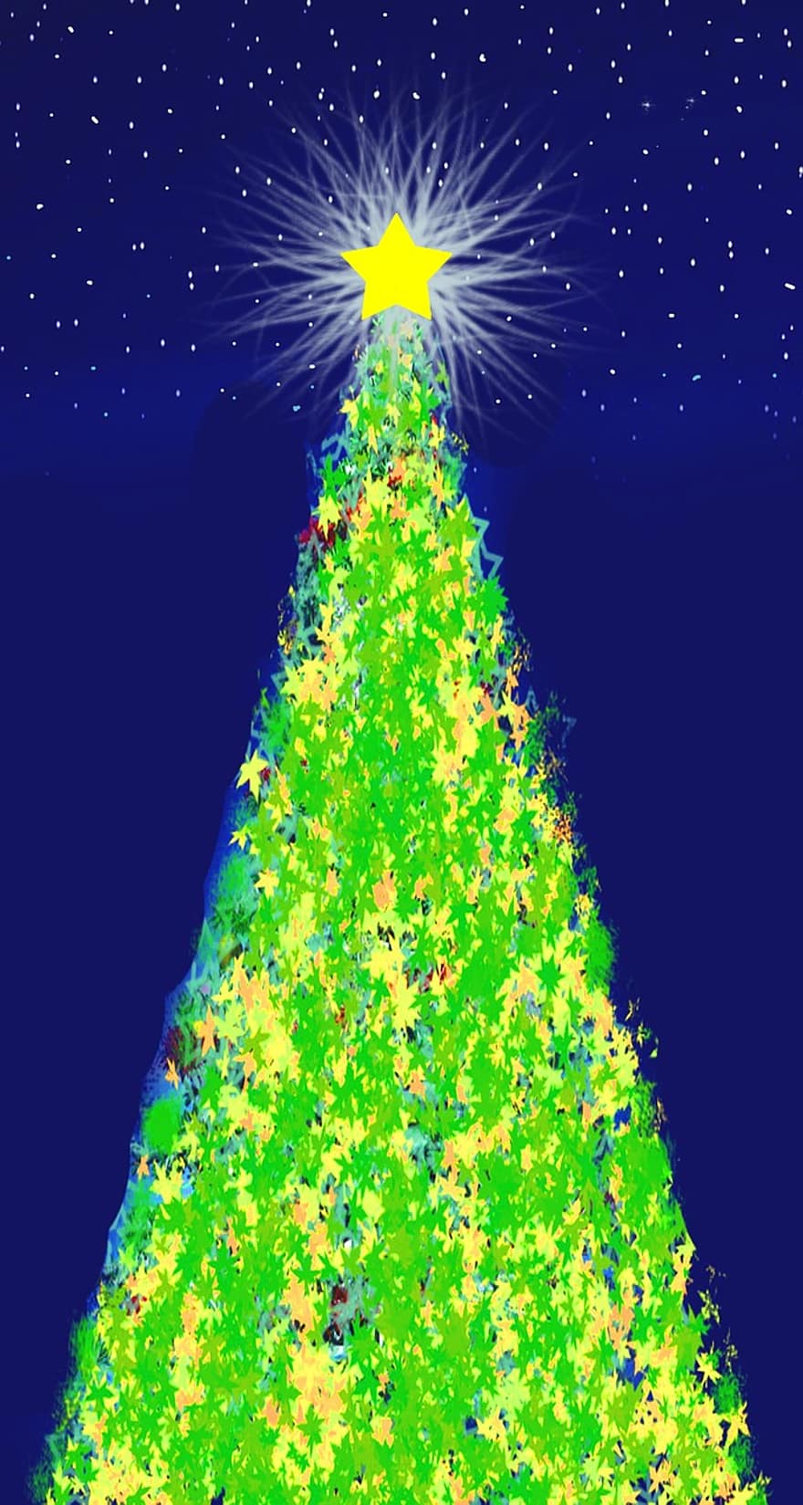 عيد الميلاد ، البوينسيتيا ، الاكليل ، نجمة ، شجرة التنوب ، شجرة عيد الميلاد ، القدوم ، ليل ، ثلج ، سماء ، أزرق