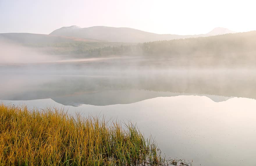 Lac, la nature, brouillard, les montagnes, lever du soleil, Aube, eau, réflexion, herbe, Altaï