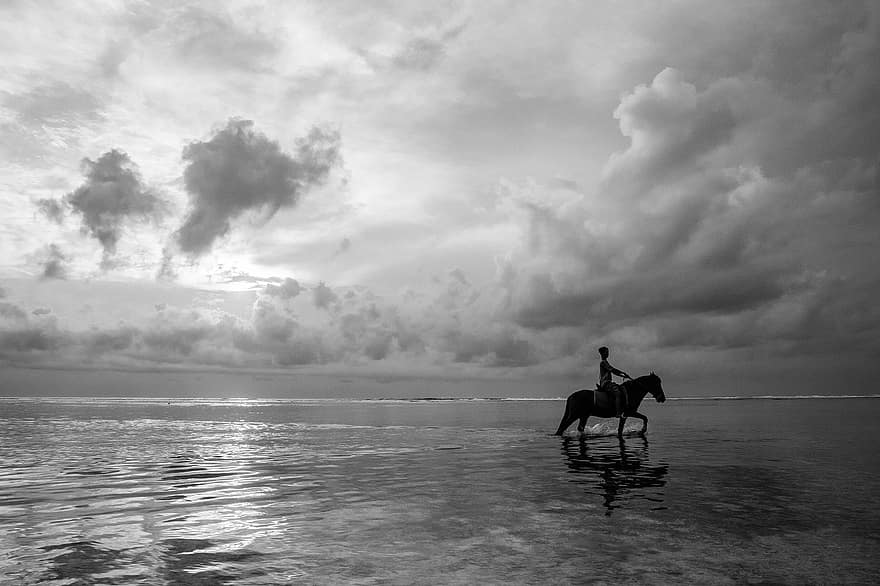 koń, osoba, plaża, ocean, morze, odbicie, jazda konna, Natura, zwierzę, koński, konny