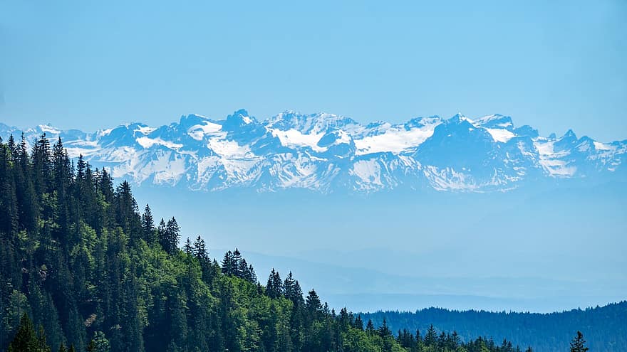 munţi, de munte, Germania, ceaţă, vârf, peisaj, natură, Alpi, Feldberg, panoramă, Munte