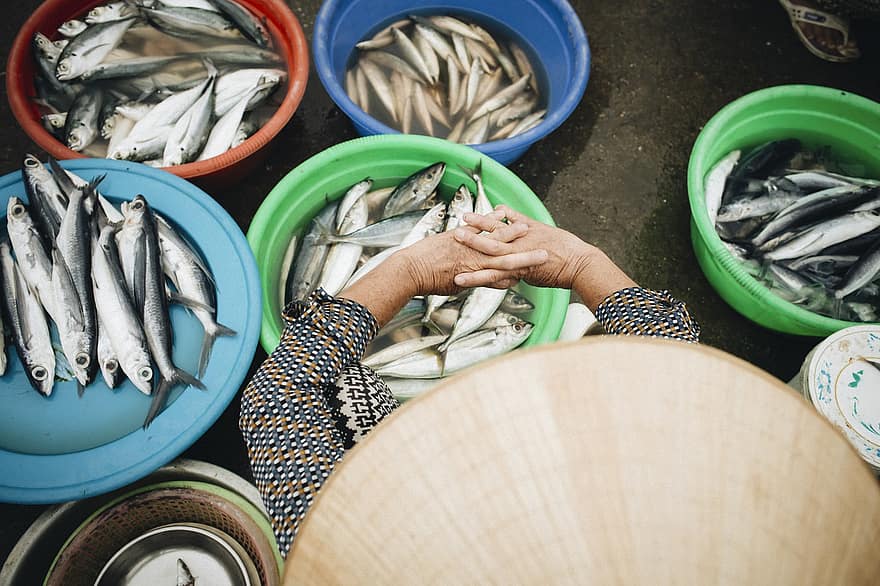 fisk, fiskemarked, selge, kvinne, vietnam, fersk fisk, Asia, marked