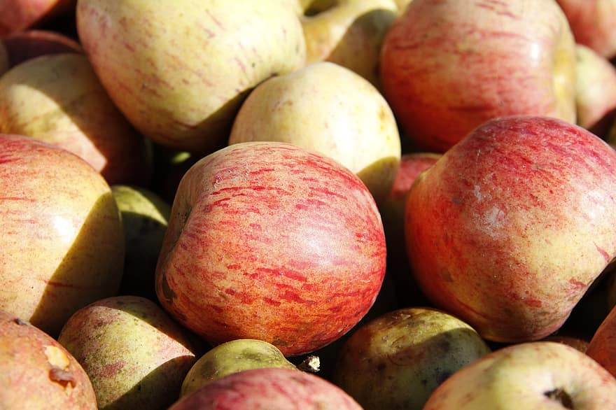 frugt, æble, høst, organisk, sund og rask, ernæring, sæson-, efterår