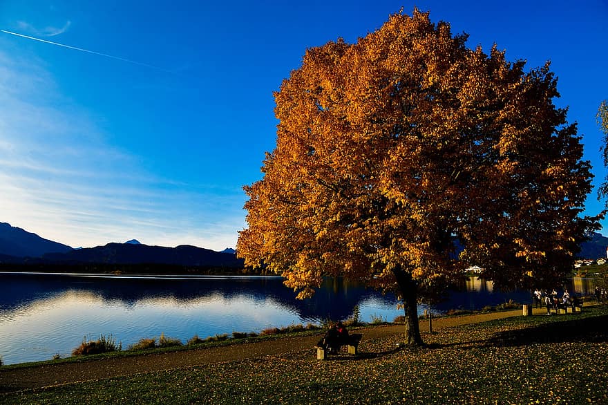 дерево, листя, озеро, гори, осінь, природи, Альпи, туризм, панорама, подорожі, похід