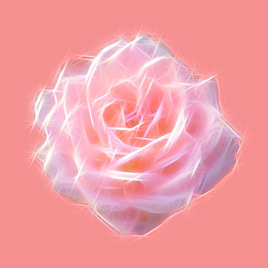 rosa, fiore, fioritura, fiorire, natura, luce, energia, scintillare, brillante, carta digitale, scrapbooking