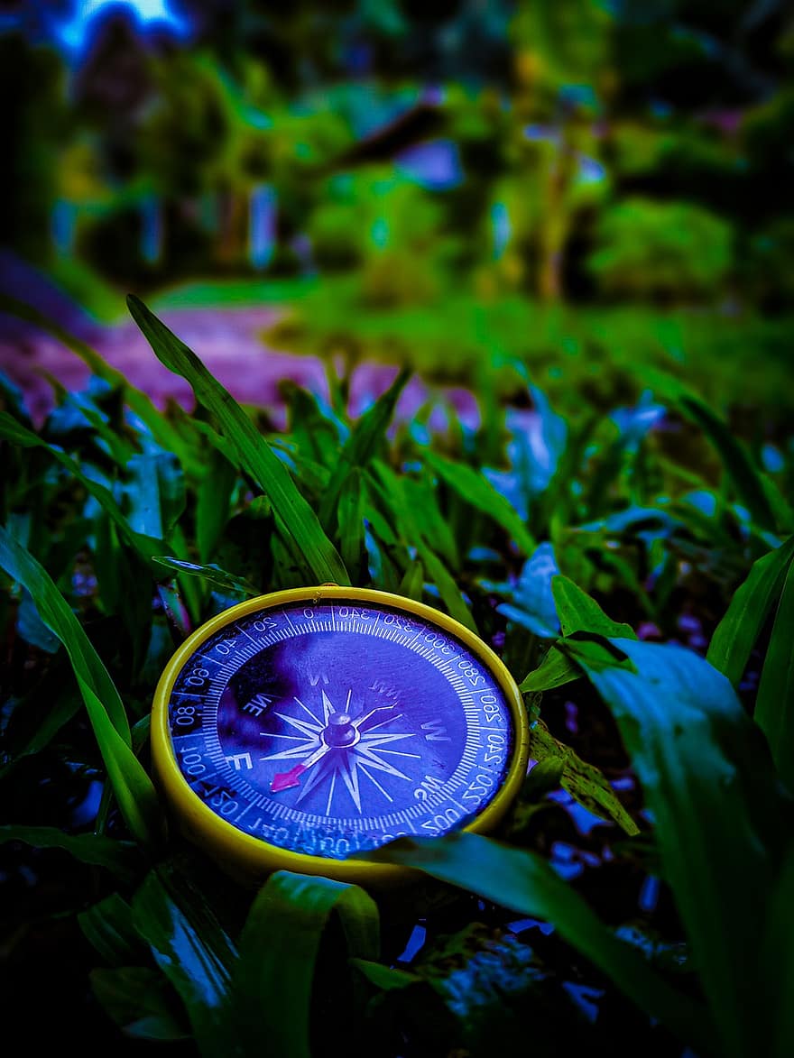 kompass, trädgård, Karta
