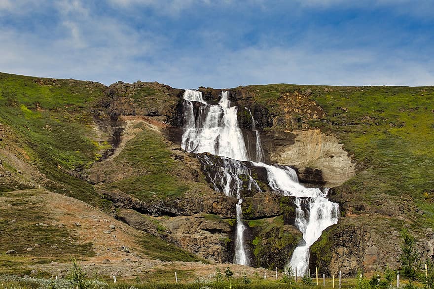 vesiputous, Islanti, maisema, vesi, vuori, kesä, rock, virtaava, ruoho, vihreä väri, rantakallio