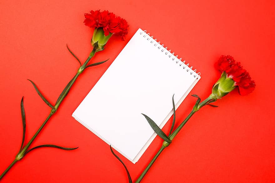 Flowers, Background, Notepad, Notebook, Paper, Carnation, Petals, Bloom, Leaves, Stem, Plant