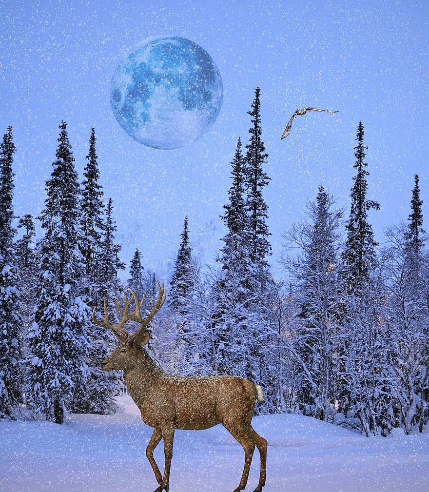 ciervo, Luna, bosque, invierno, nieve, búho, fantasía
