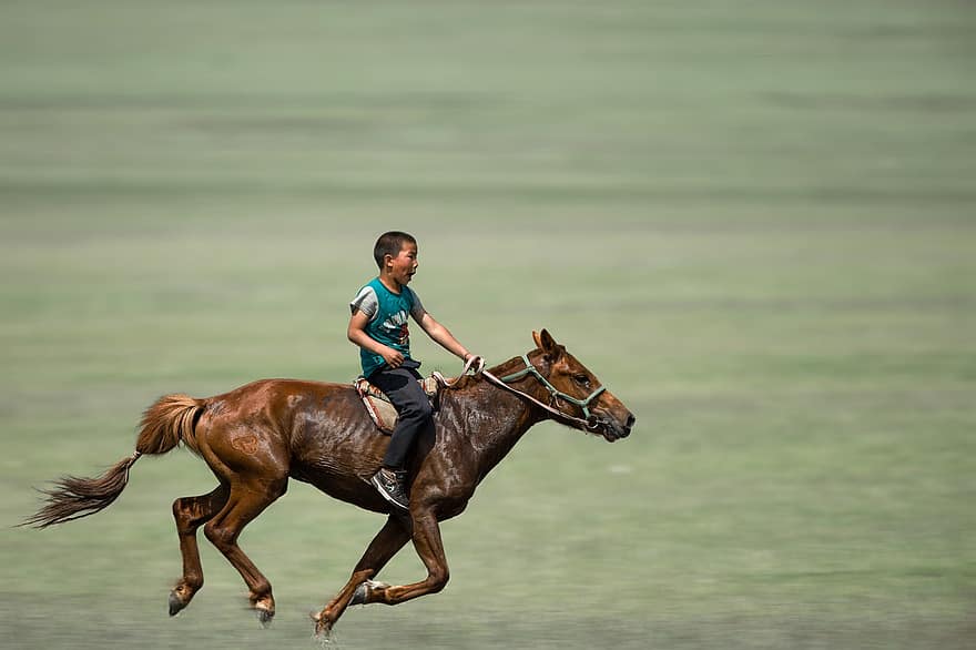 chłopak, jazda konna, galopujący, koń, łąka, Sport, Jeździec jeździecki, zwierzę, ssaków, Naadam, sport