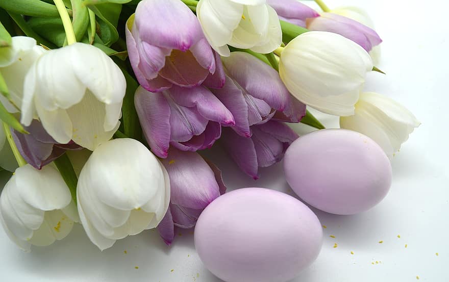 Pâques, des œufs, tulipes, œufs de Pâques, fleurs, printemps, oeufs colorés, thème de Pâques, salutations de pâques, décorations de pâques