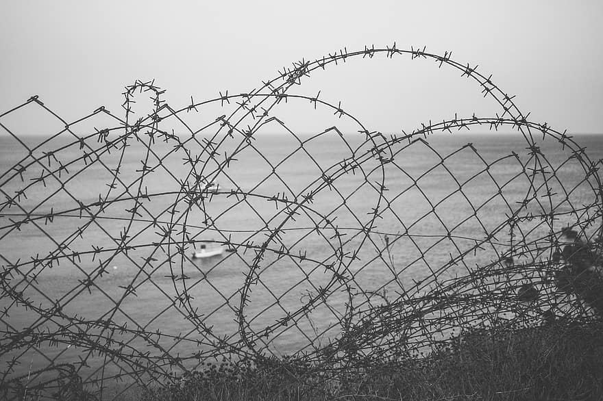 Wire, Barbed Wire, Fence, Forbidden, Metal, Obstacle, Boundary, Fencing, Closed, Limit, Border