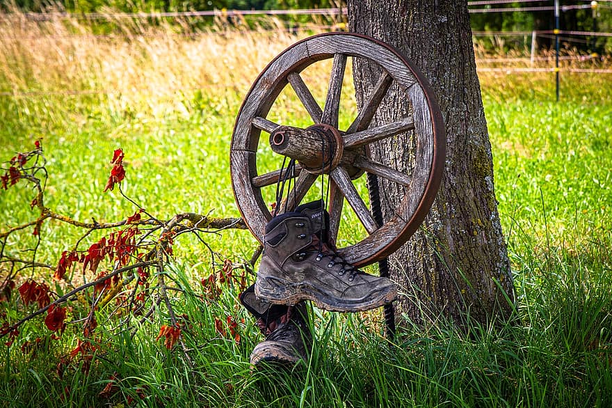 Wagon Wheel, Agriculture, Farming, Nature, grass, old, rural scene, wood, men, old-fashioned, forest