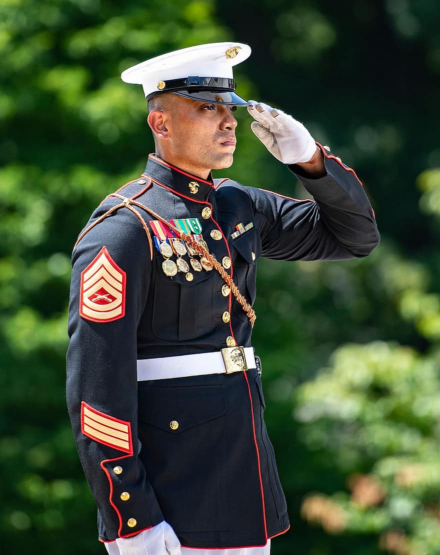 Marinesoldaten, Mann, usmc, Militär-, Uniform, Gruß, Marinekorps, Soldat, Amerikanisches Militär
