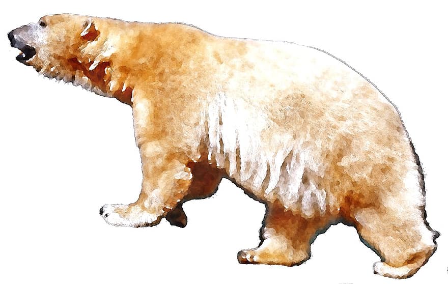isbjørn, vannfarge, dyr, oekaki