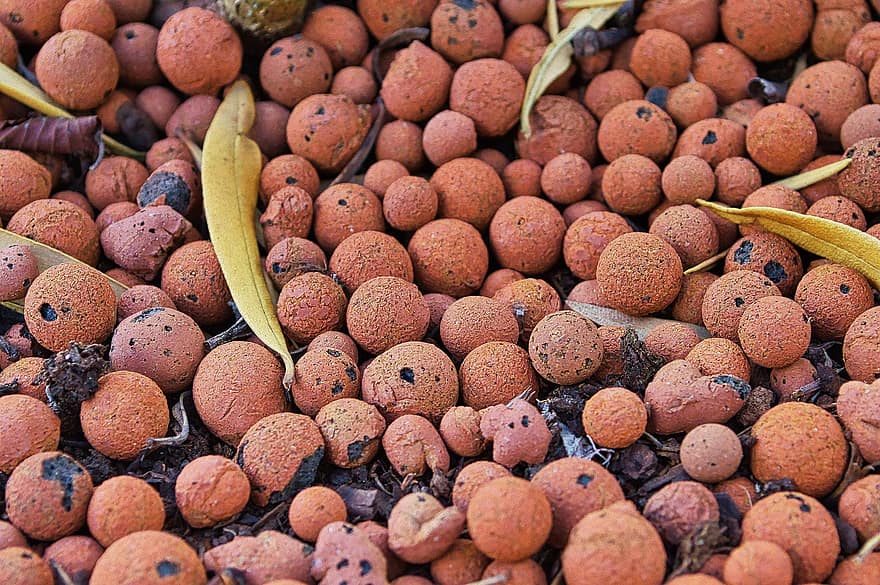 Clay Balls, mineraal, poreus, duurzame, recyclebaar, voedsel, detailopname, achtergronden, versheid, multi gekleurd, fruit