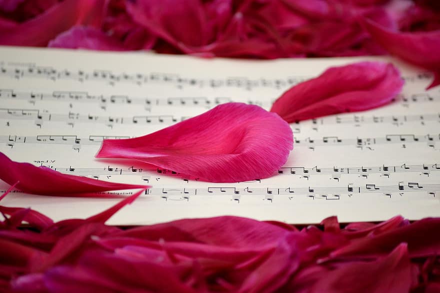 cánh hoa, bản nhạc, bài hát, điểm, Những bài hát tình yêu, buổi hòa nhạc, Tình yêu dành cho âm nhạc, mùa xuân, hoa nở, hợp xướng, yêu và quý