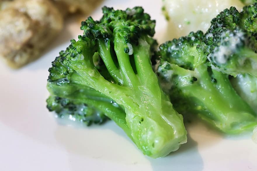 vegetal, brócolis, cozinhou, saudável, Comida, orgânico, verde, placa, frescura, fechar-se, Alimentação saudável
