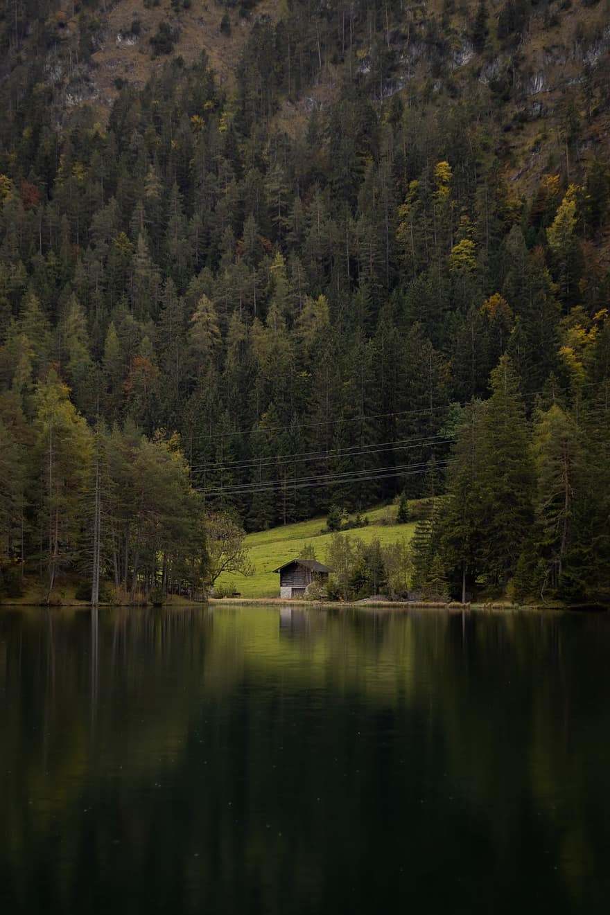 lac, cabină, pădure