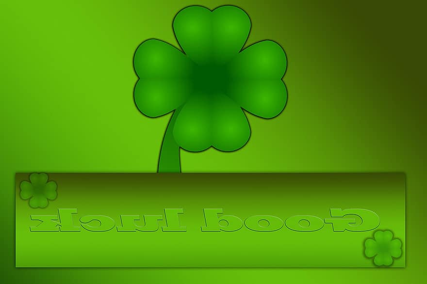네 잎 클로버, 행운의 부적, 행운의 상징, 행운의 메신저, 녹색, 운, 클리어, 네, 대담한