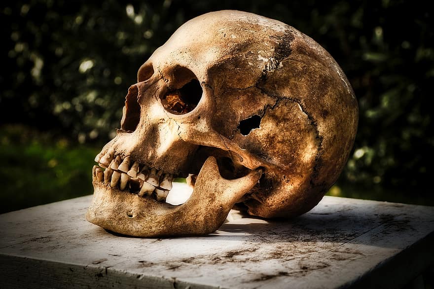osso, esqueleto, caveira e ossos cruzados, arrepiante, morto, esquisito, crânio, face, cabeça, chama, fogo