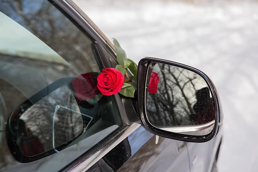 fleur, Rose, voiture, décoration, Floraison