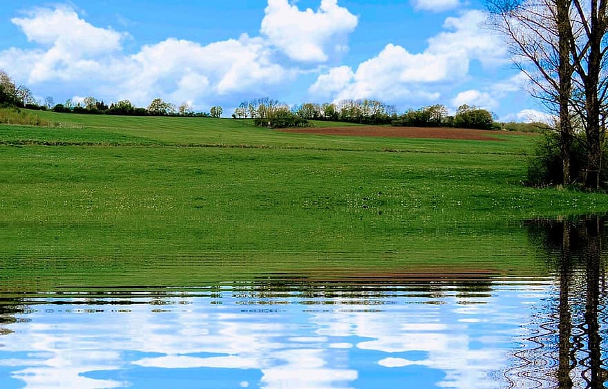 Water, Nature, Woods, Sky, Country, Clouds, blue, summer, grass, landscape, green color