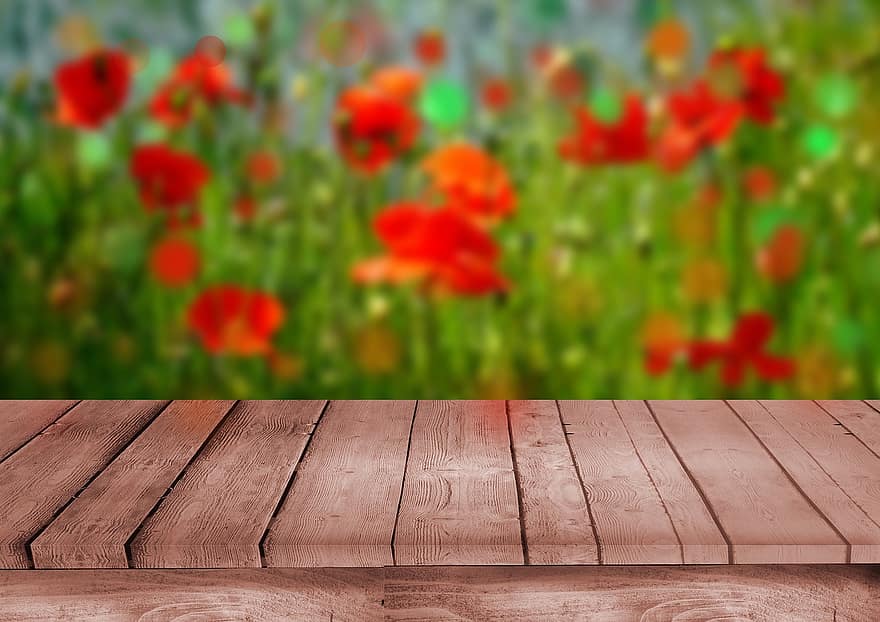 papan, kayu, tahap, panggung kayu, bunga poppy, bunga-bunga, padang rumput bunga