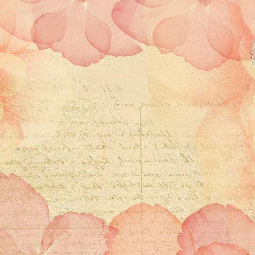 plakboek, ansichtkaart, achtergrond, roze, bloemblaadjes, zacht, romantisch, wijnoogst, bloem, lint, scrapbooking