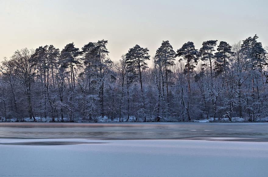 눈, 호수, 나무, 숲, 삼림 지대, 눈이 내리는, 냉랭한, 흰 서리, 겨울 풍경, 설경, 겨울