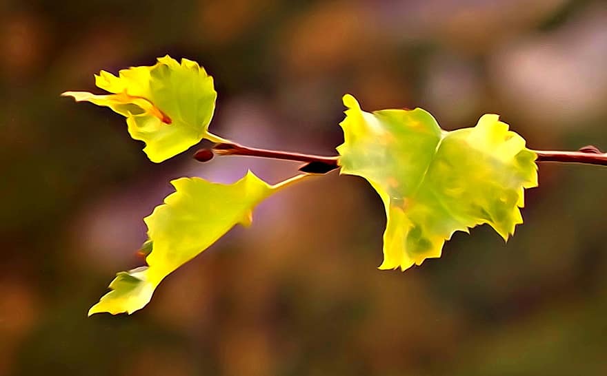 dedaunan, musim gugur, emas musim gugur, daun kuning, jatuh, keindahan, scenically